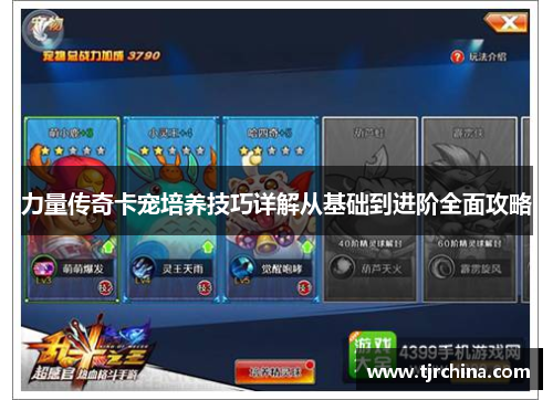 力量传奇卡宠培养技巧详解从基础到进阶全面攻略 力量传奇卡宠培养技巧详解从基础到进阶全面攻略