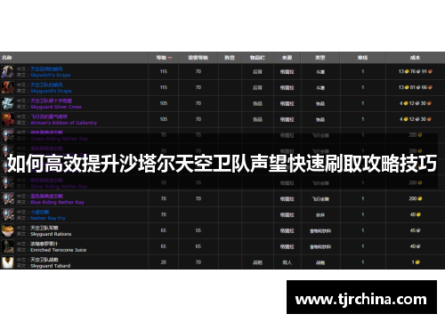 如何高效提升沙塔尔天空卫队声望快速刷取攻略技巧