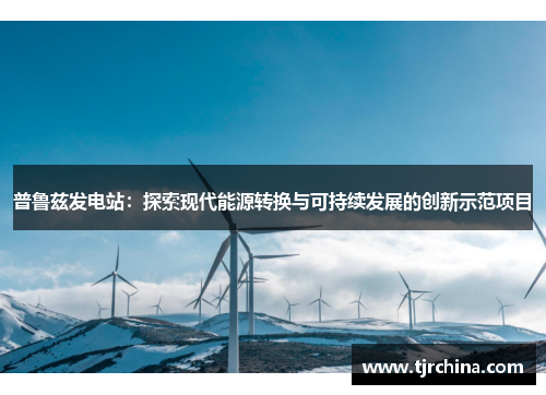 普鲁兹发电站：探索现代能源转换与可持续发展的创新示范项目