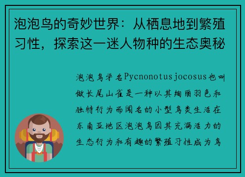 泡泡鸟的奇妙世界：从栖息地到繁殖习性，探索这一迷人物种的生态奥秘